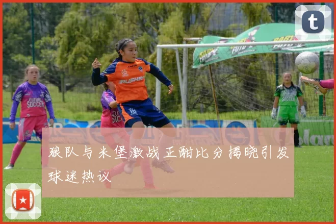 狼队与米堡激战正酣比分揭晓引发球迷热议