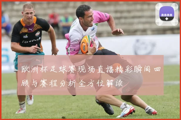 欧洲杯足球赛现场直播精彩瞬间回顾与赛程分析全方位解读